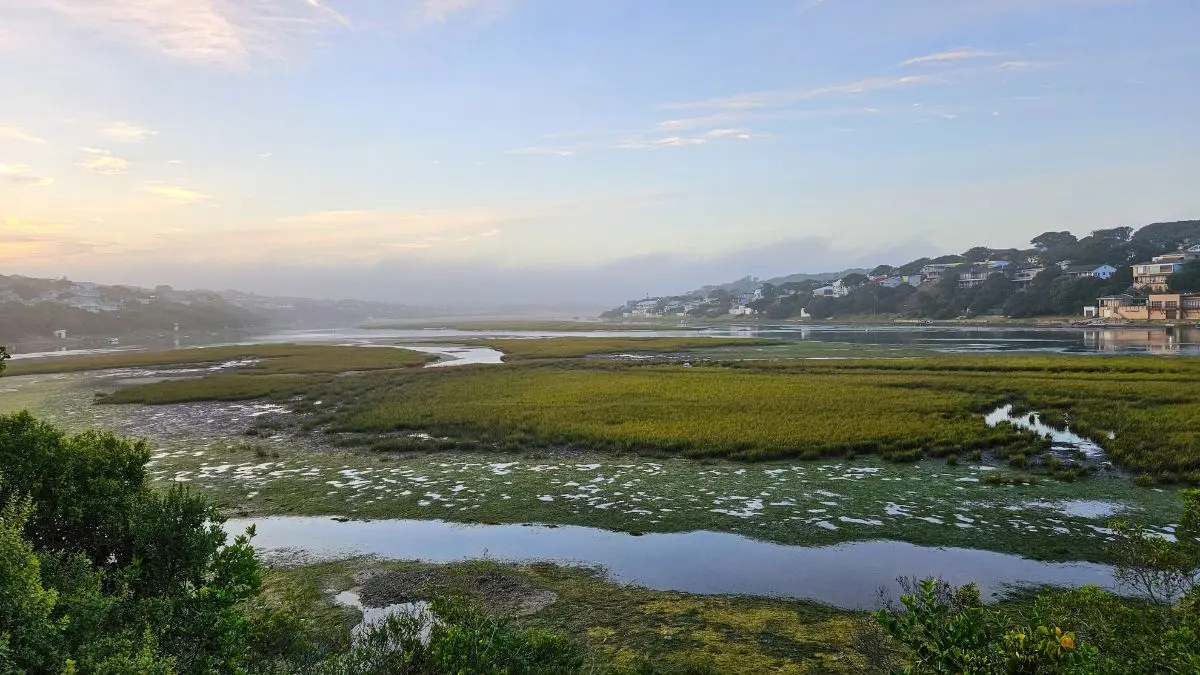 a winding river estuary with residential area on either side