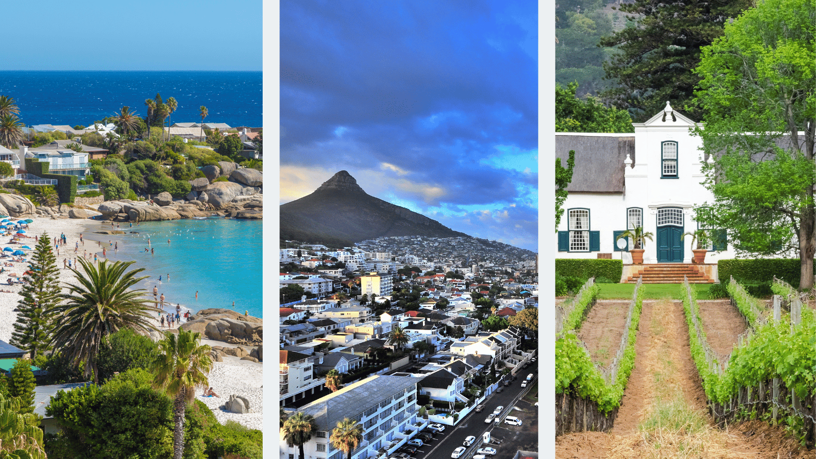 aspects of the cape town landscape
