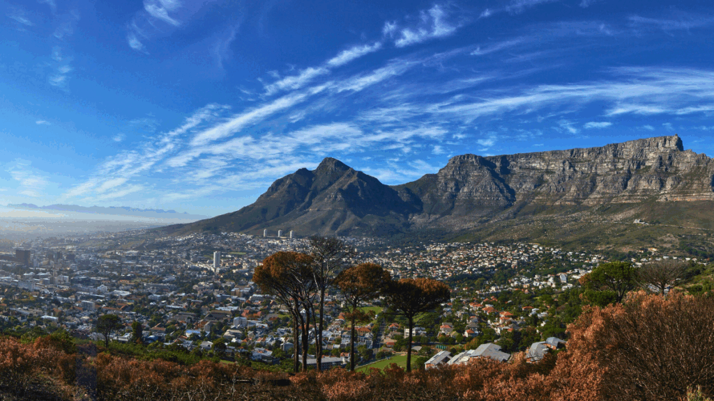 Big Six Cape Town Attractions