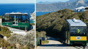 Exploring Cape Point, Cape of Good Hope: What to See and Do