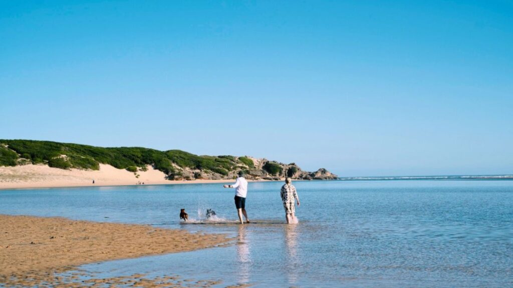 Why Should You Visit the Eastern Cape, South Africa?