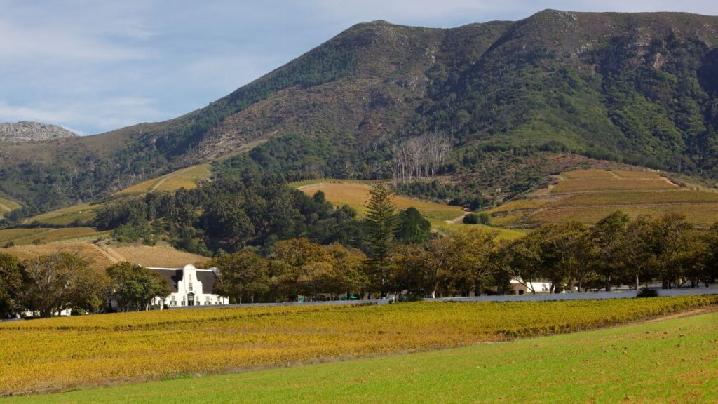 Groot Constantia: Cape Town’s Oldest Wine Estate