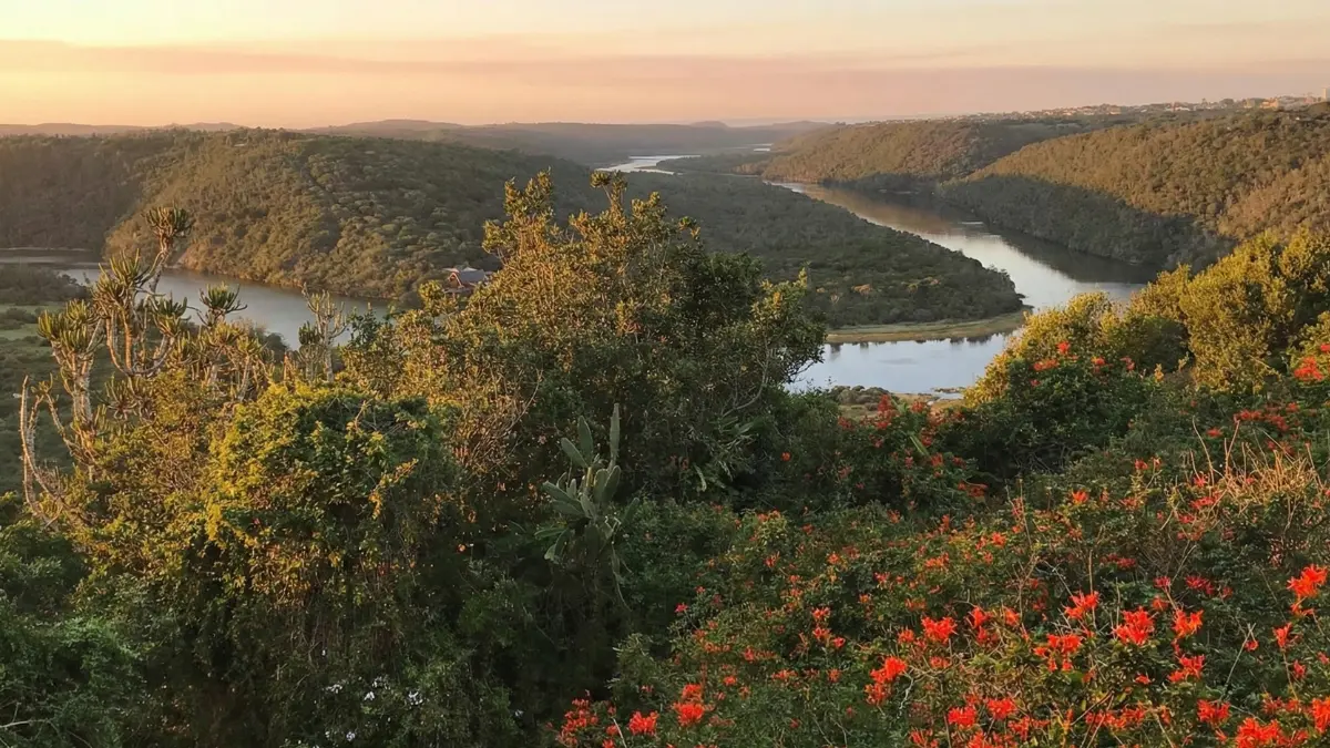 view over the winding kariega river from stanleys restaurant
