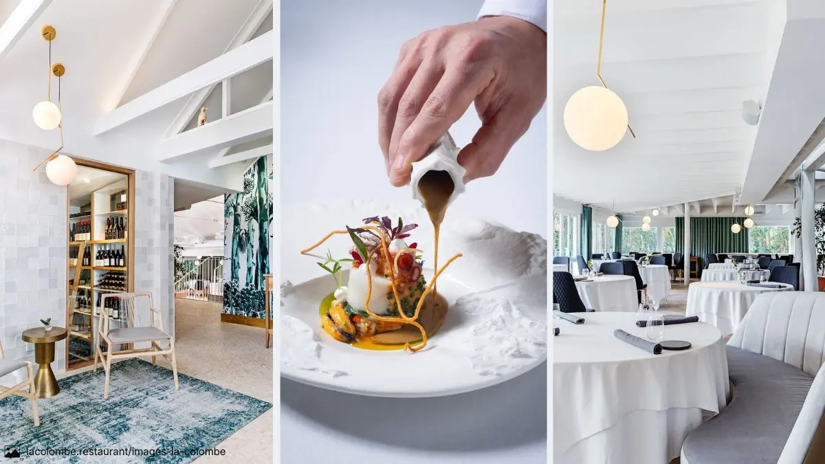 the interior of La Colombe restaurant in cape town