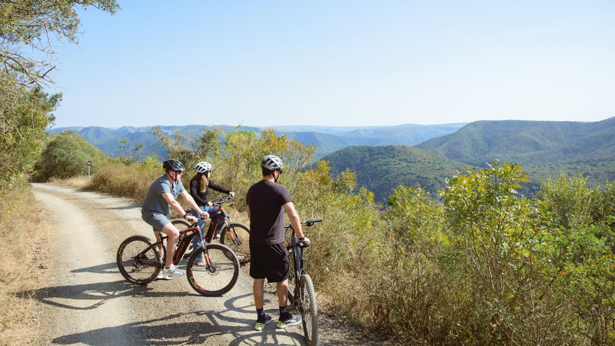 a group of people riding e-bikes and looking at a mountain view