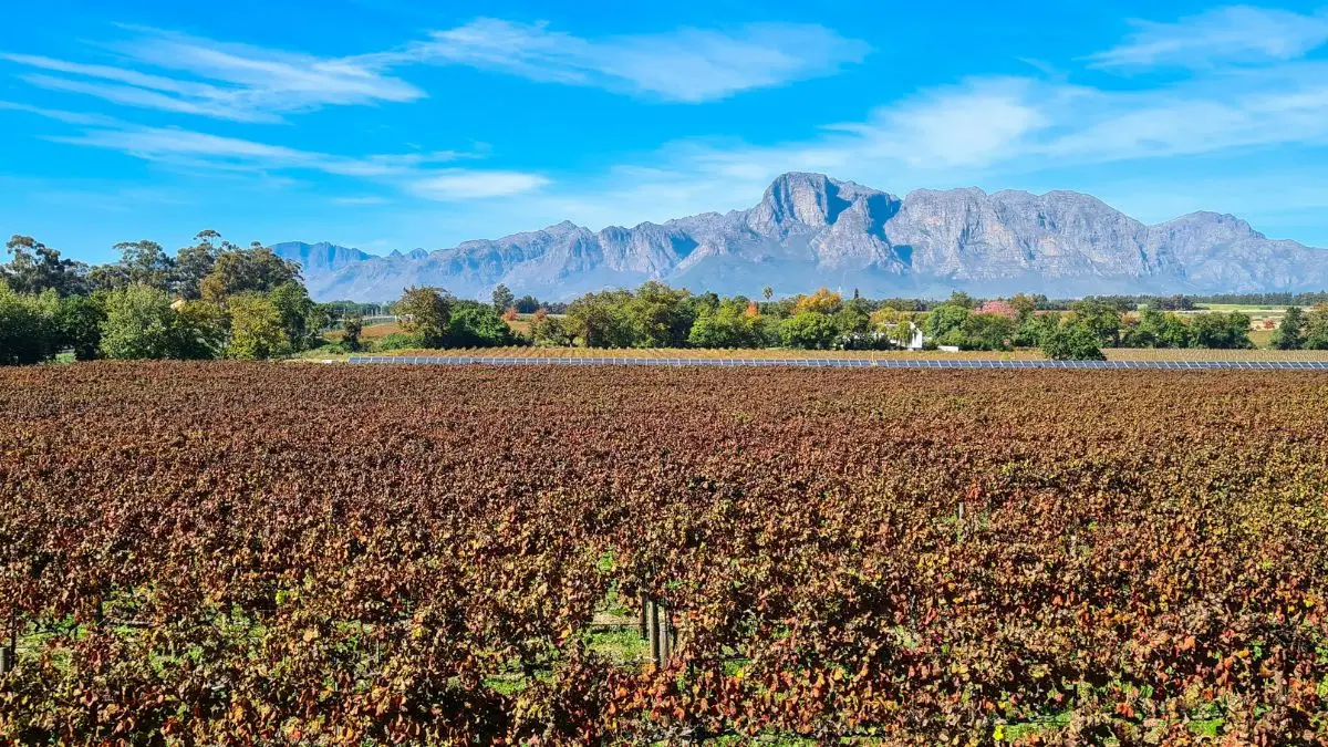 Scenic shot of Franschhoek in the Western Cape